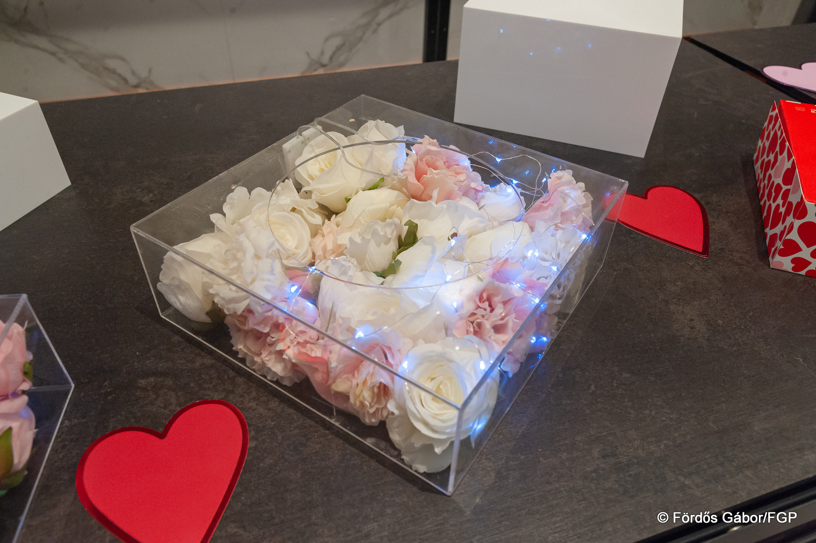 260219_XX Szovivo Bal_201_FGP6748Szóv